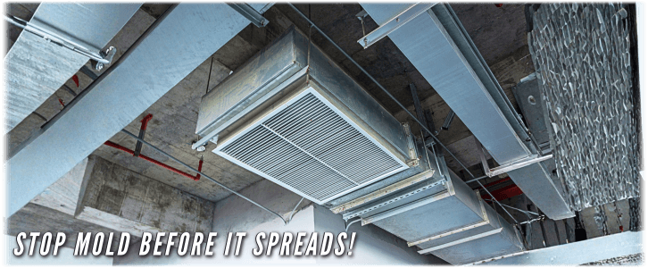 Air Duct Mold Removal in Miami FL
