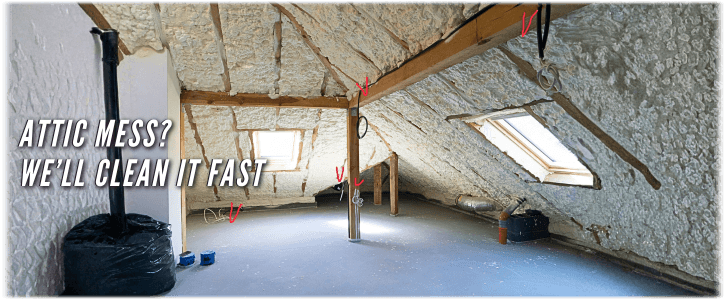 Attic Cleaning Miami FL